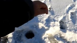 СЕЗОН ТРОФЕЕВ ОТКРЫТ !!! С ЧЁРТИКОМ НА ЗАМЁРЗШЕЕ ВОДОХРАНИЛИЩЕ !!!