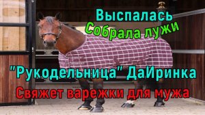 Выспалась. Собрала лужи. "Рукодельница" ДаИринка свяжет варежки для мужа