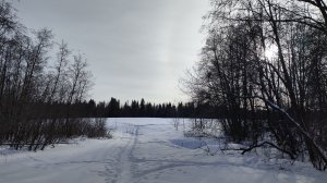 Прогулка, 3 ноября 2019, старое видео.