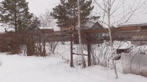 Дача. Февраль 2025 г.