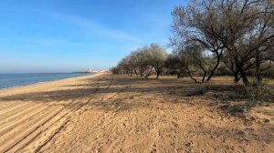 Дикие пляжи. Темрюк сегодня. Азовское море #Голубицкая