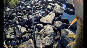 Кольский "жаркий сезон-2024" ч1. долгая заброска до избы, первая рыбалка.