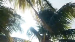 1000009978.mp4. " нравится мне , когда ты...