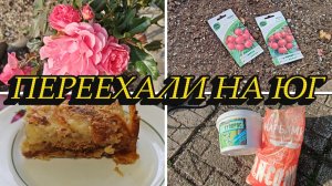 ЖИЗНЬ НА ЮГЕ,ПОСЕЯЛА РЕДИСКУ,ОБРАБОТАЛА САД И РОЗЫ, К ЗИМЕ ГОТОВЫ, НОВЫЙ ПИРОГ