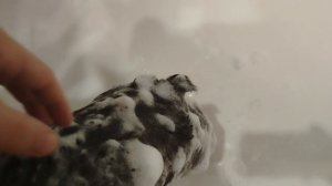 Купаю свою собаку