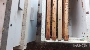 Осмотрел как объединились.