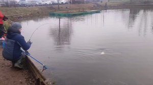 video5291892173917159094