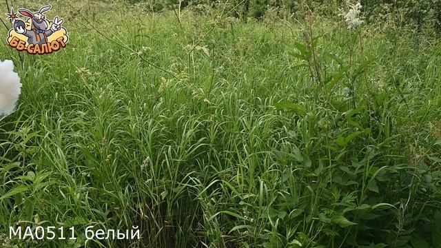 Цветной дым белый MA0511/W SMOKING FOUNTAIN