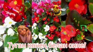 Туган көнең белән сине!Музыкальная открытка.