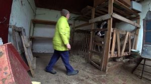 Влог от 24.10.2021