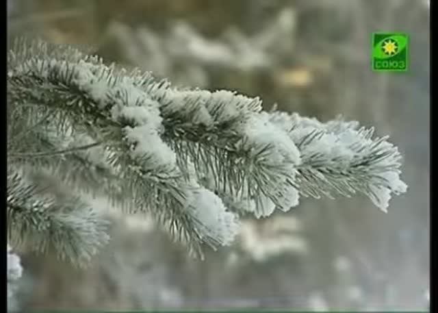 Тишина - Анна Абикулова