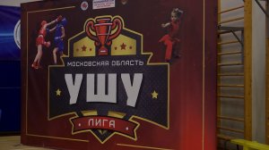 Чемпионат и первенство Московской области по ушу