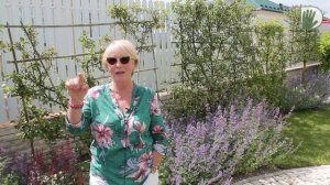 Видео журнал «Сады в отличной форме №39» Маленький сад. Красиво, уютно и профессионально.