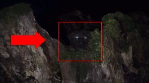 Чупакабра в лесу! Заблудившийся охотник встретил неизвестное существо