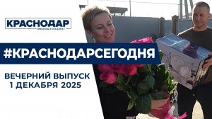 Как День матери отметили на Кубани. Новости 1 декабря