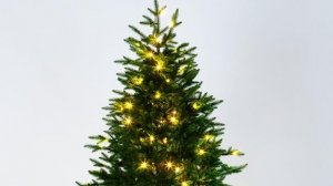 Новогодние чудо.