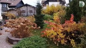 Видео журнал «Сады в отличной форме №26» Один из садов ландшафтного дизайнера Ирины Сахаровой.