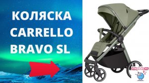 Прогулочная коляска CARRELLO BRAVO SL CRL-5520❤. Смотрите видеообзор первыми!