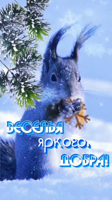 Природа меняет наряд! С первым днём зимы. Красивая музыкальная открытка.