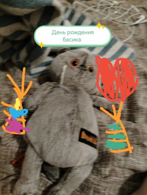 День рождения басика