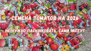 ЭТИ ТОМАТЫ ШЕДЕВРЫ - НА ВСЕ ВРЕМЕНА!