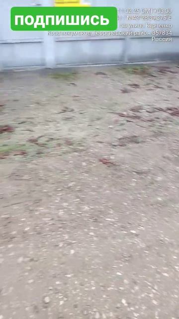 Засыпали лужи гравием