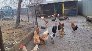 Такая как есть