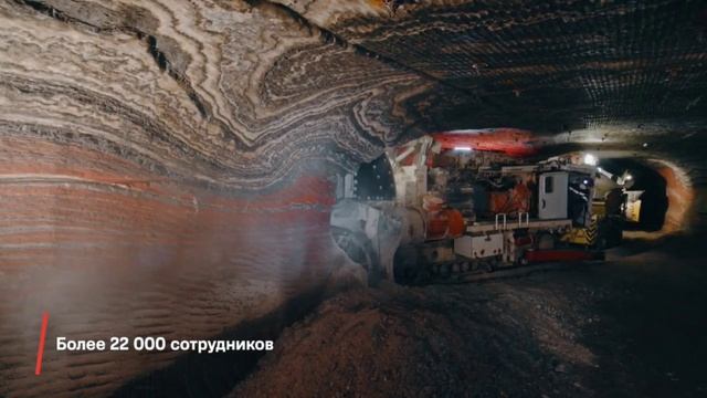 video5291871631088589155