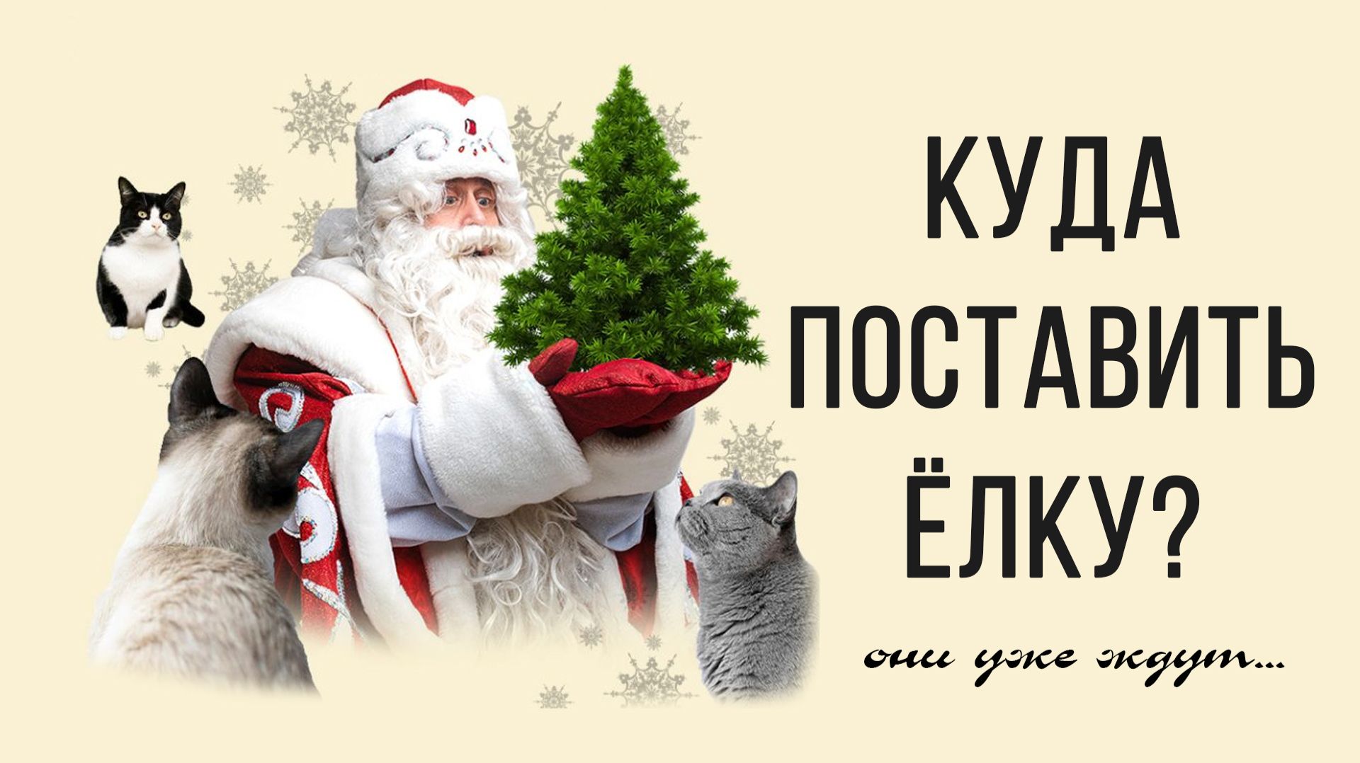 Куда поставить ёлку? смотреть онлайн