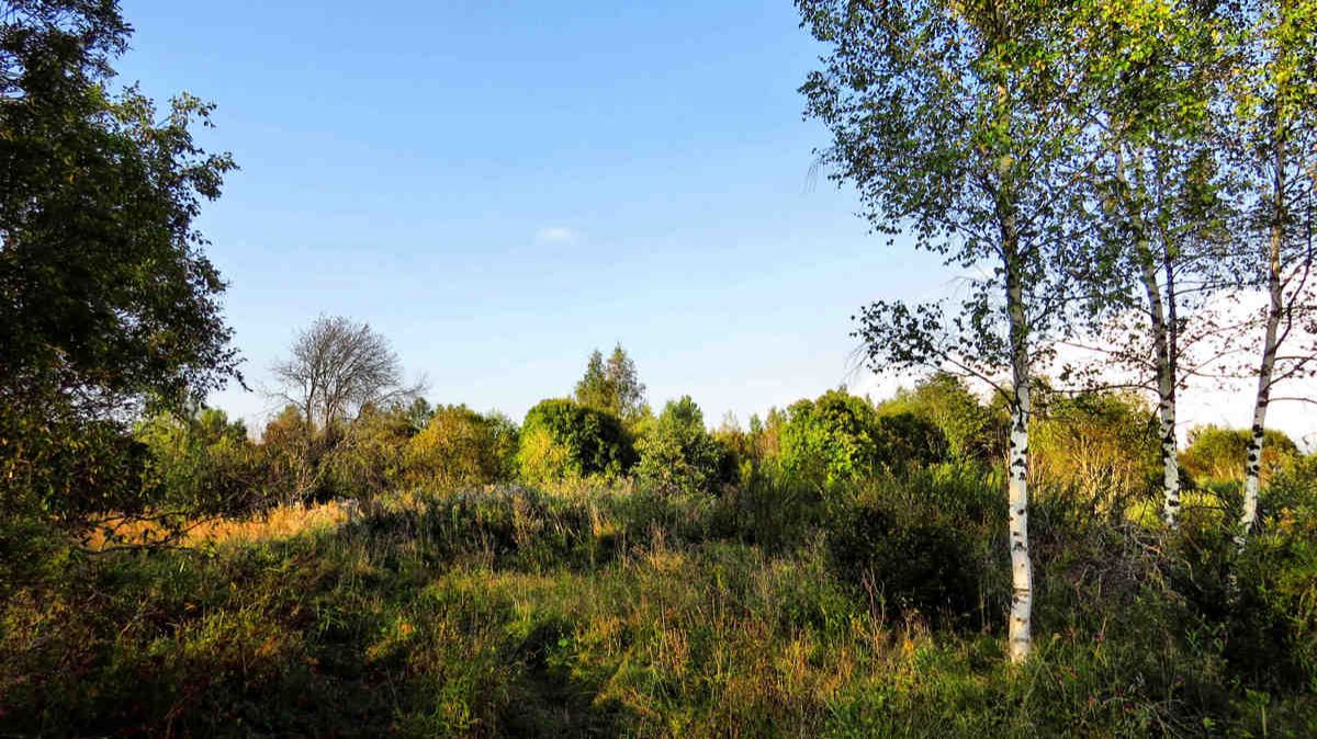 Красиво когда нет дождя