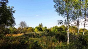 Красиво когда нет дождя