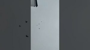 Агасиевские голуби 30.11.25г.