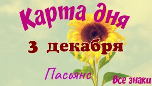 Карта дня❄ 3 декабря🎄☃️Пасьянс. Тайм-код в описании🦢