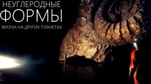 Формы жизни. Как могут выглядеть обитатели других Планет?