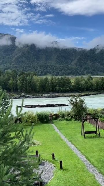 video_2025-12-01_09-46-52 смотреть онлайн