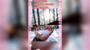 Первые морозы, первые снежинки. Красивое видео.