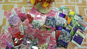 Семена цветов на сезон 2026. Что выбрала на будущий год.