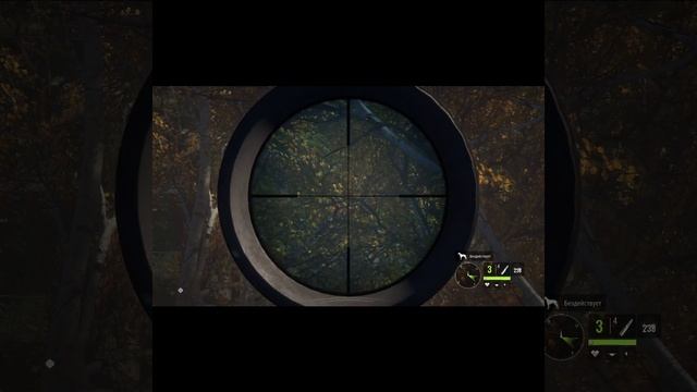 theHunter Call of the Wild. Золотой трофей