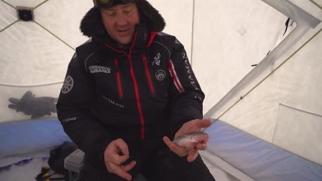 "НАРОДНЫЙ ПРОЕКТ СИБИРЬ" смотреть онлайн