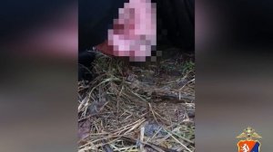 Закладчиков поймали при помощи дрона