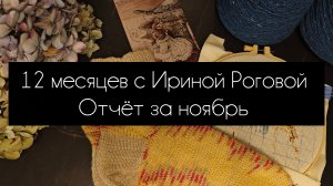 12 месяцев с Ириной Роговой. отчёт за ноябрь