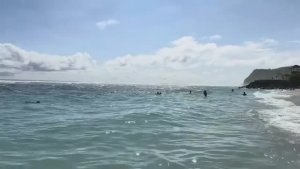 Беженец🇮🇩Бали. КАТИН БЕБЕК. САМЫЙ КРУТОЙ ПЛЯЖ МЕЛАСТИ. КОКОС В 9 РАЗ ДОРОЖЕ! ШИКАРНЫЙ ЗАКАТ НА ЮГЕ