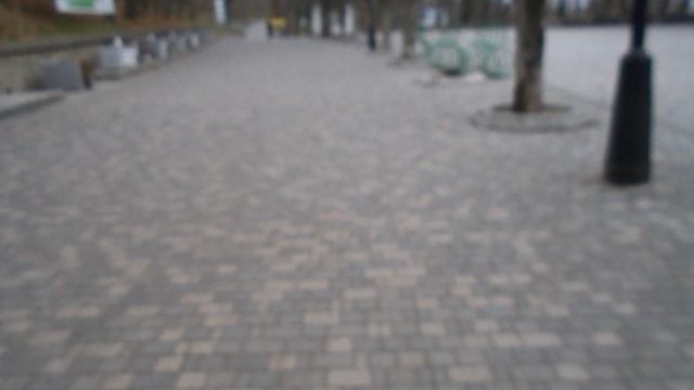 DSCN8477Осенний Железноводск.Белочка хозяйка железноводского парка ноябрь 2025