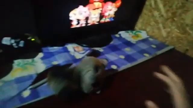 CСБ Сезон 1 Все Серии Подряд