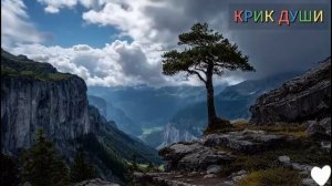 Ночная правда.