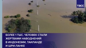 Более 1 тыс. человек стали жертвами наводнений в Индонезии, Таиланде и Шри-Ланке