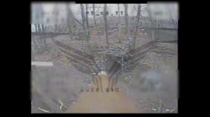 Краснолиманское направление. «Рубикон» FPV-дронами поражает автомобили, ПВД и блиндажи ВСУ