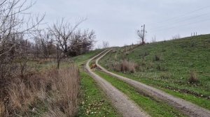 Природа и погода в первый день декабря.