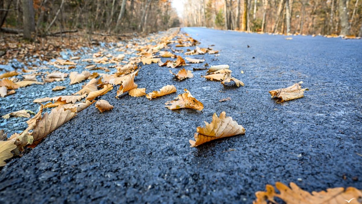 Ноябрь это уже сон земли. Жизнь на пенсии в Приморье.