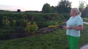 Видео журнал "СОФ №98" МОЛОДОЙ и KРАСИВЫЙ АВТОРСKИЙ САД.